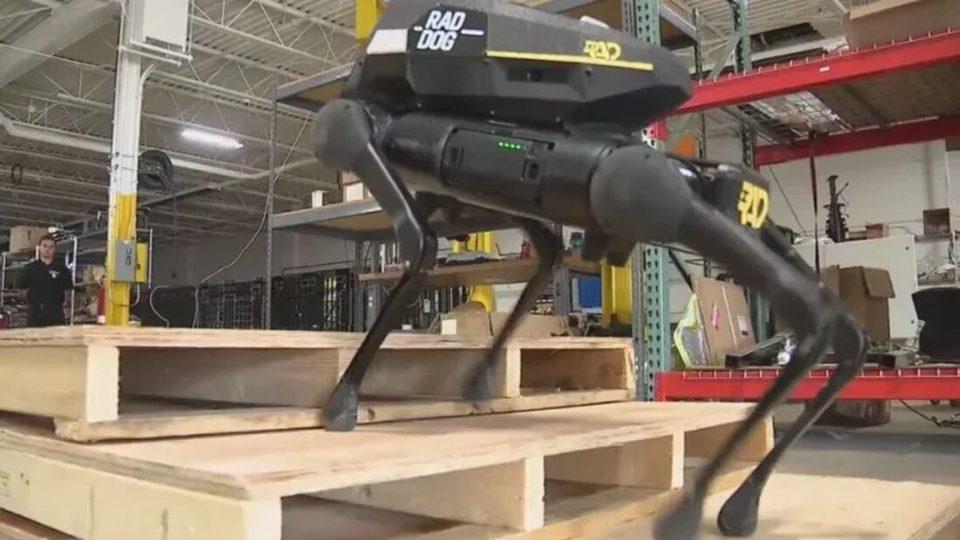 RADDOG quadruped robot climbing stacked wooden pallets during agility testing